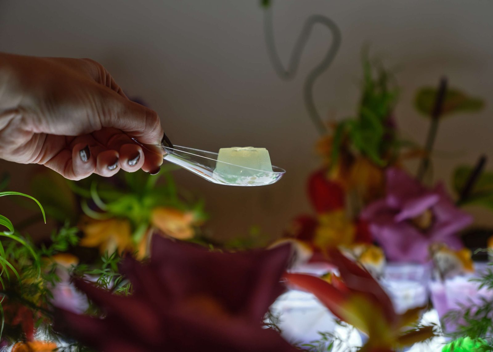 Futurist Cookbook &ndash; Dinner at the Light Table