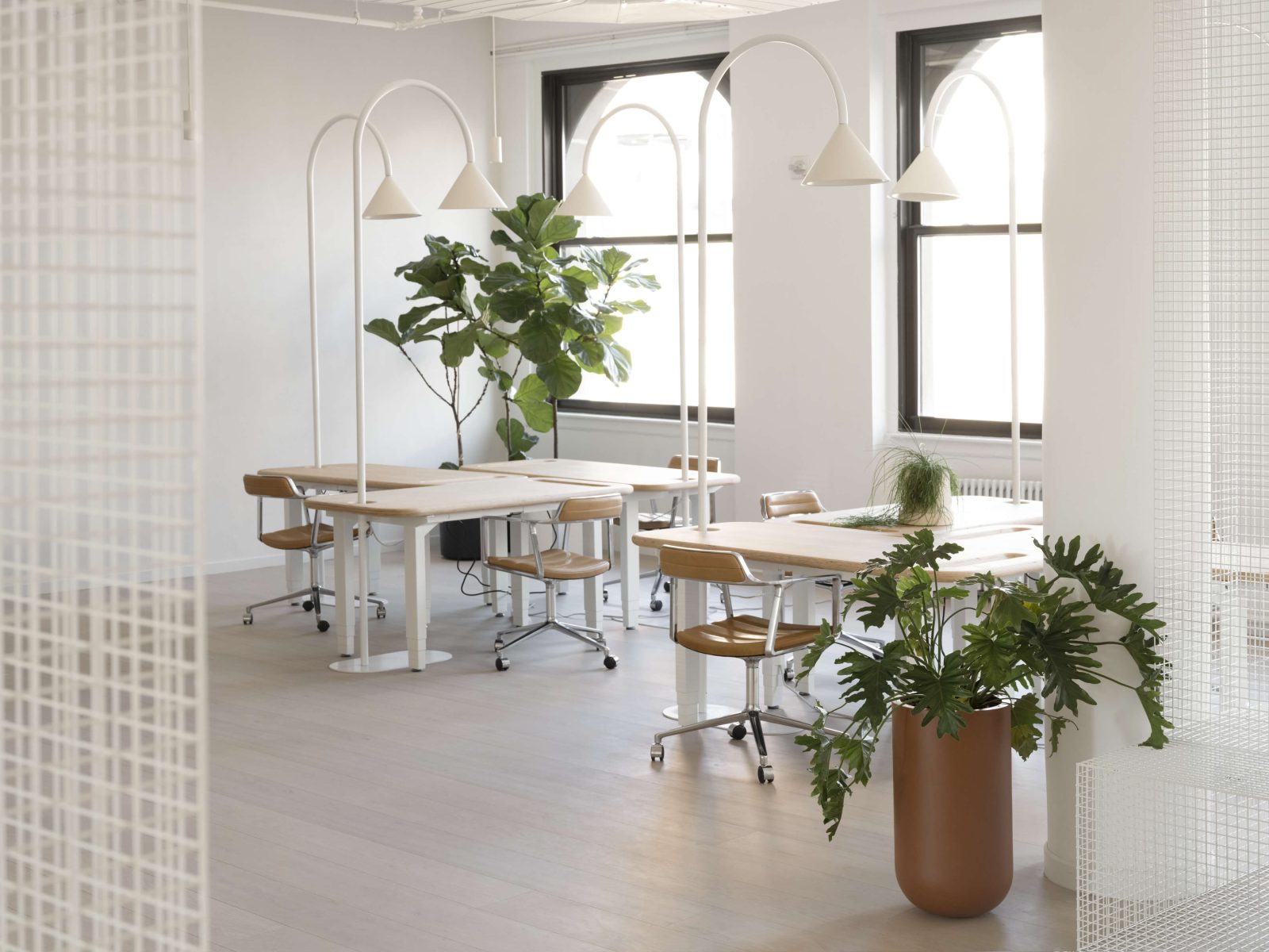 Arc Desk Lamp