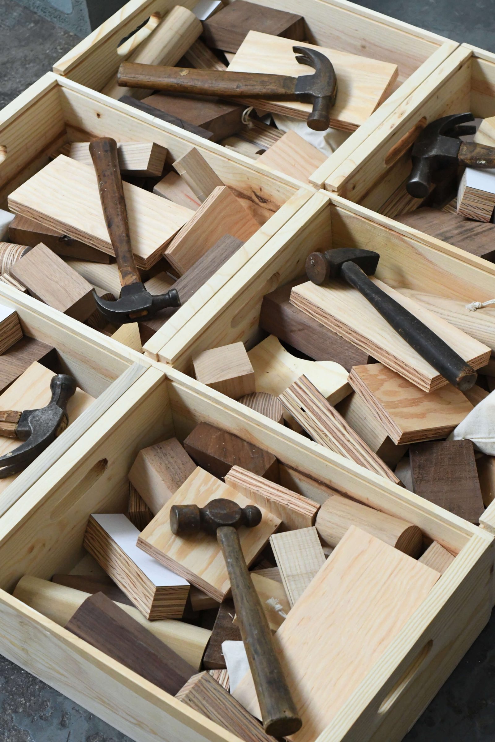 Debris Box