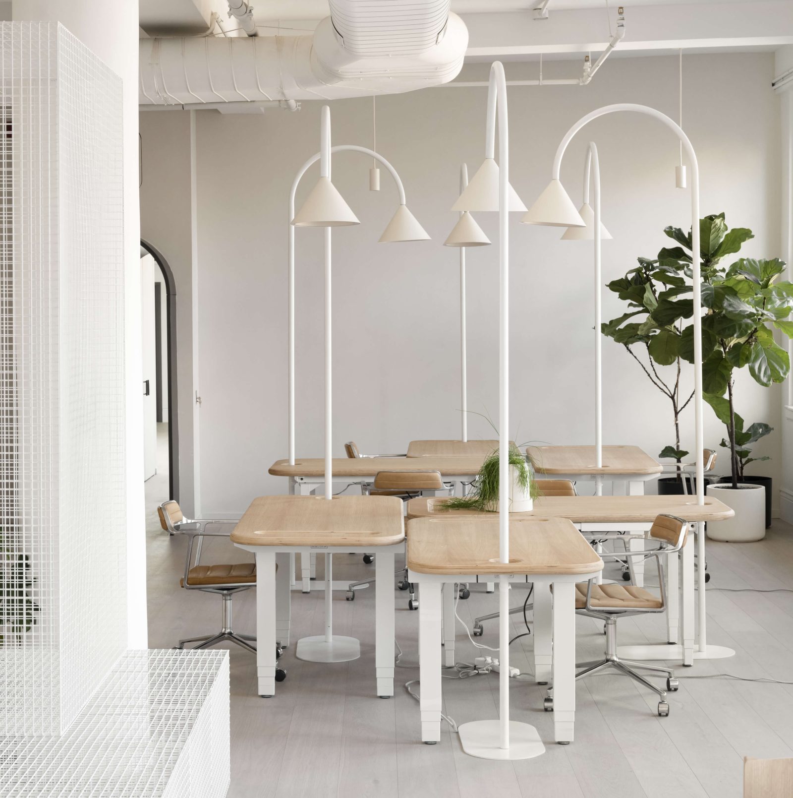 Office of Tangible Space devised custom sit-to-stand workstations with integrated lighting.