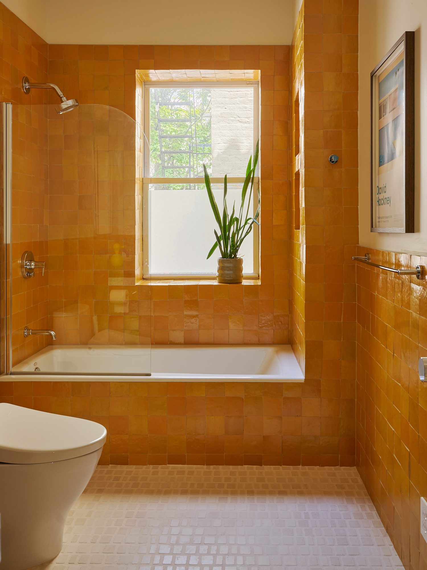 Windsor Terrace Residence
